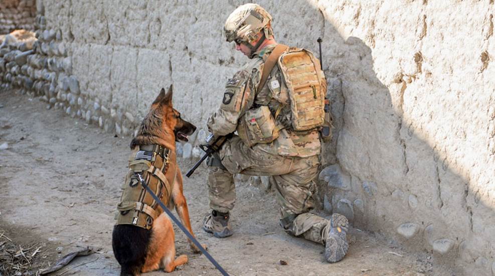 Col Applegate Fightin' Dogs: Col. Rex Applegate and Deke | An Official Journal Of The NRA
