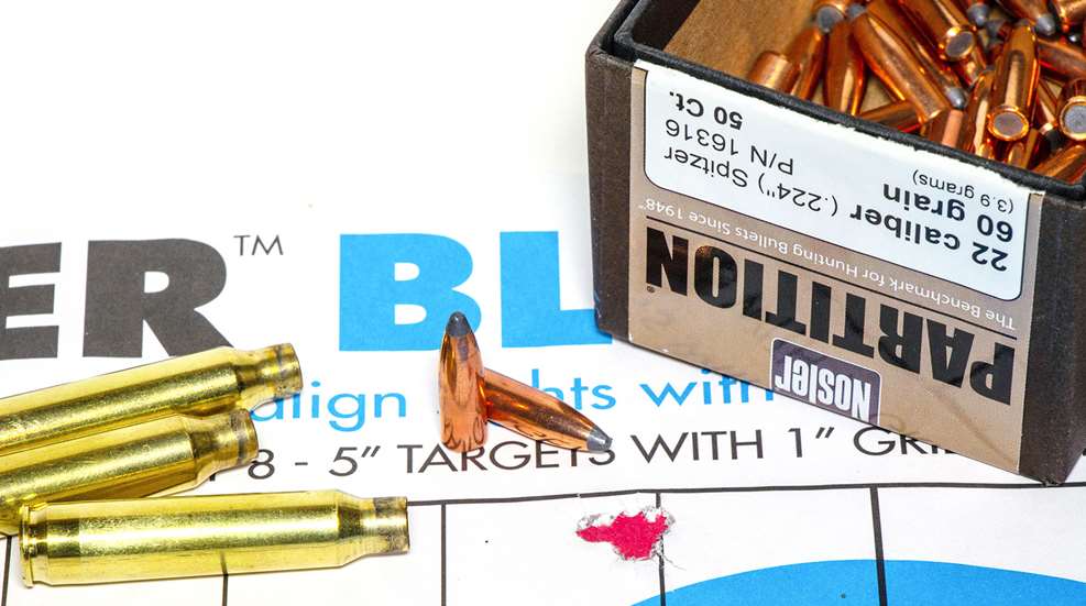 Nosler Partition ammo