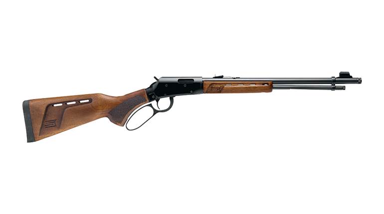 Back to the Basics: The .22 LR Lever-Action Rifle | An Official Journal Of The NRA
