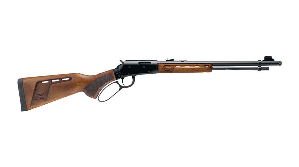 .22 LR Lever-Action Rifle