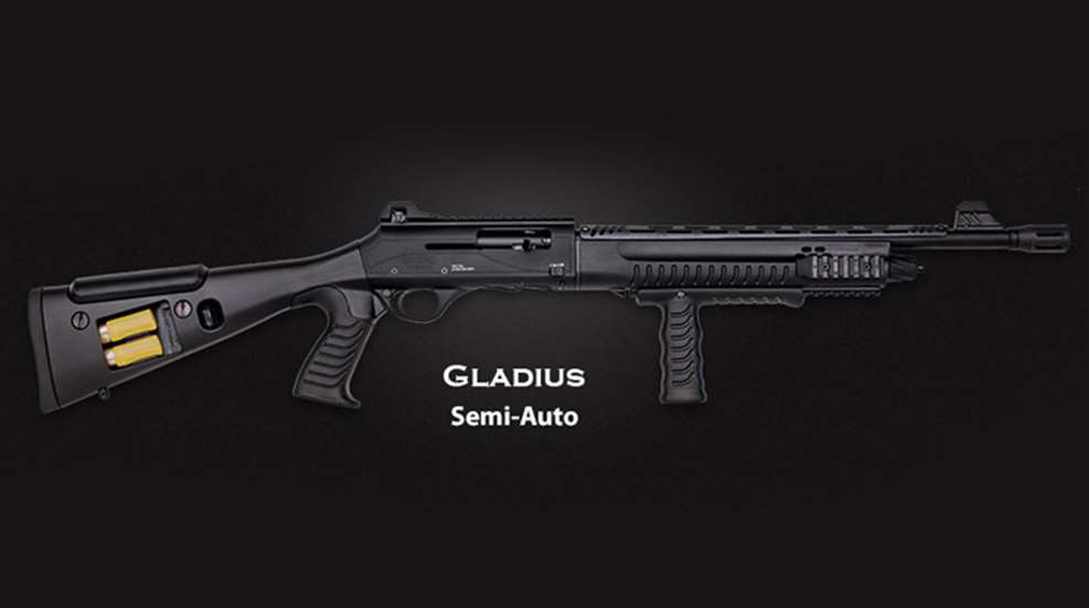 gladius.jpg