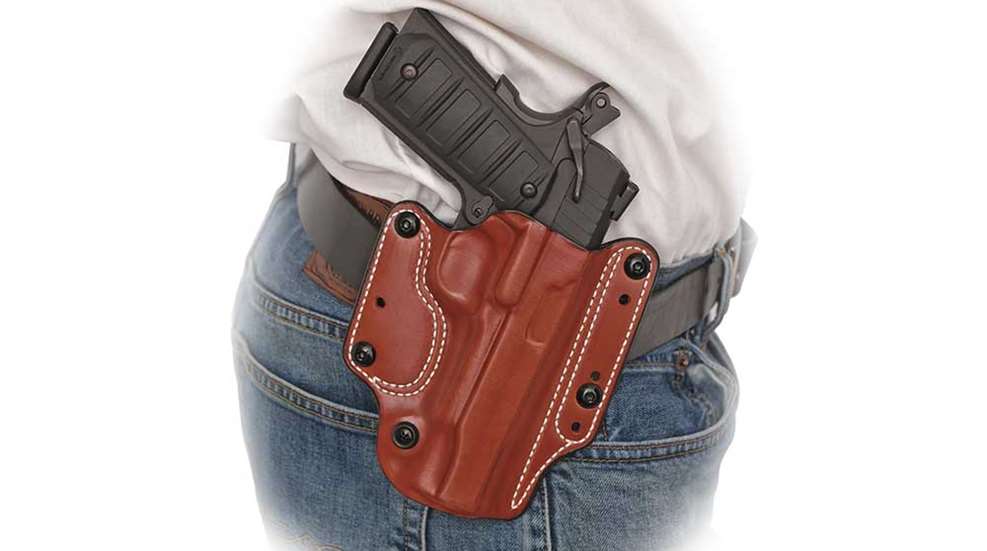 desantis-holster-variable-13-f.jpg