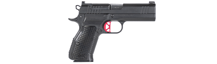 Dan Wesson DWX Compact pistol