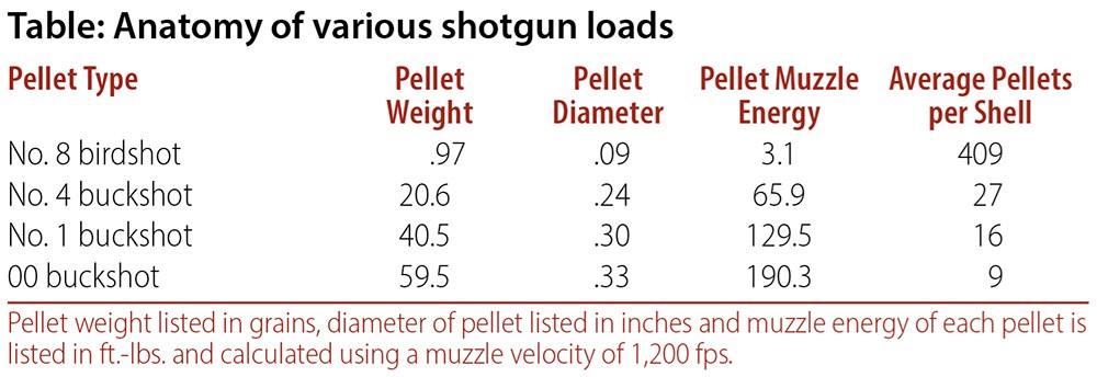 Table: Anatomy of various shotgun loads
