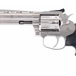 Colt King Cobra 22LR target