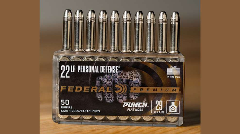 fp_punch22lr_lg.jpg