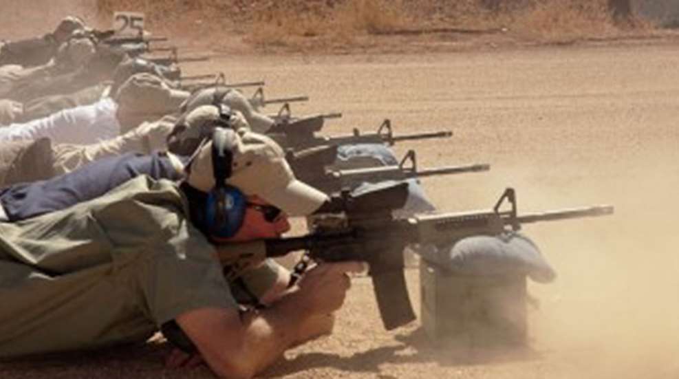 notthegun.jpg