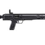 Ruger LC Carbine 45