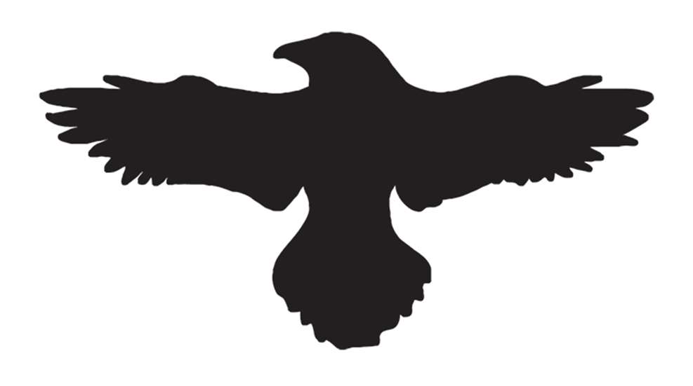 gunsite-academy-250-pistol-class-raven-f.jpg