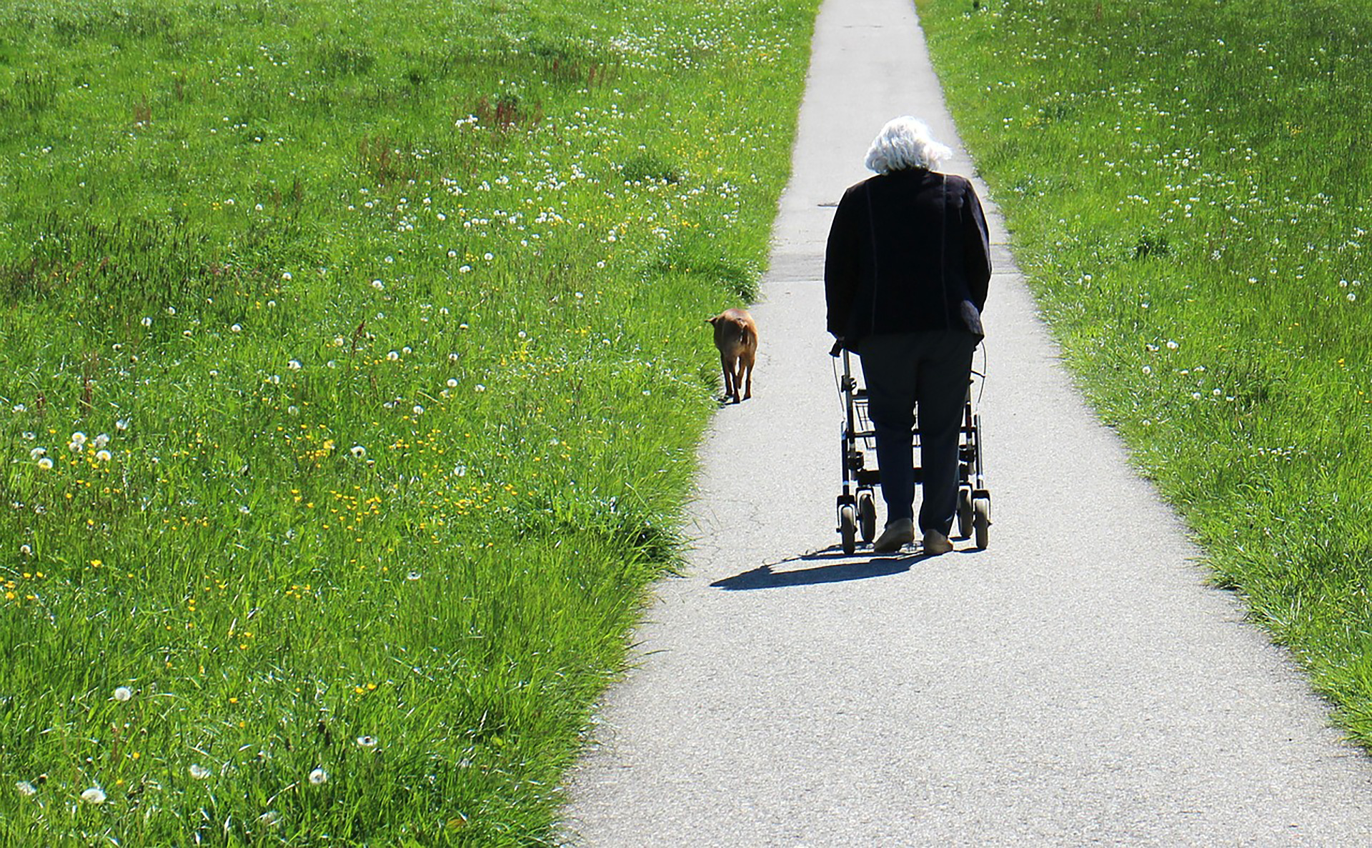 Walking the dog