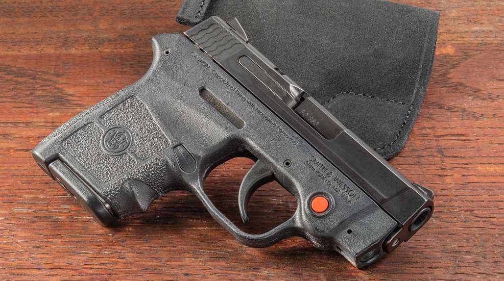 .380 ACP Smith & Wesson Bodyguard