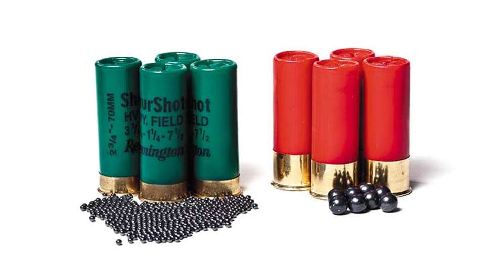 birdshot-vs-buckshot-home-defense-shotgun-f.jpg
