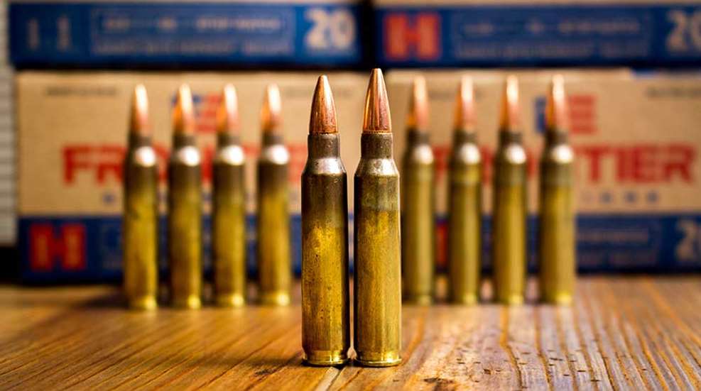 223 Remington vs. 5.56 NATO - What's the Difference? – Top Brass