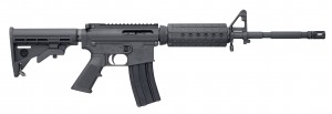AR-15, budget, Bushmaster