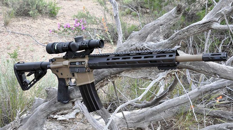 Range Review: Wilson Combat Protector Carbine | An Official Journal Of The NRA