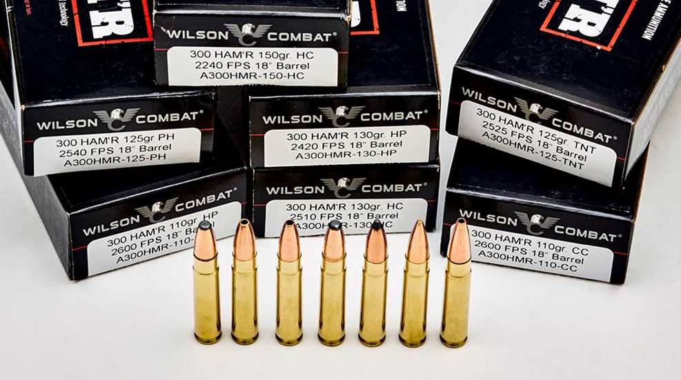 review-300-hamr-wilson-combat-f.jpg