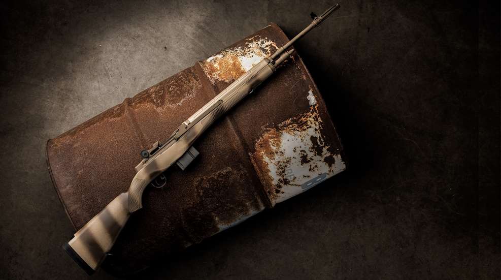 Springfield Armory Two Tone FDE