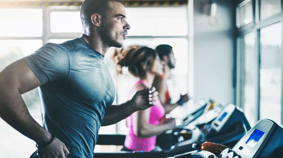 gym members