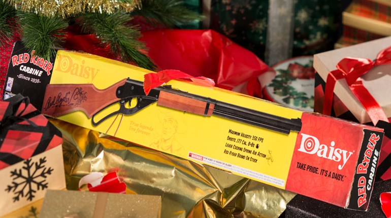 The BB Gun: A Perfect Start to the Shooting Hobby | An Official Journal Of The NRA