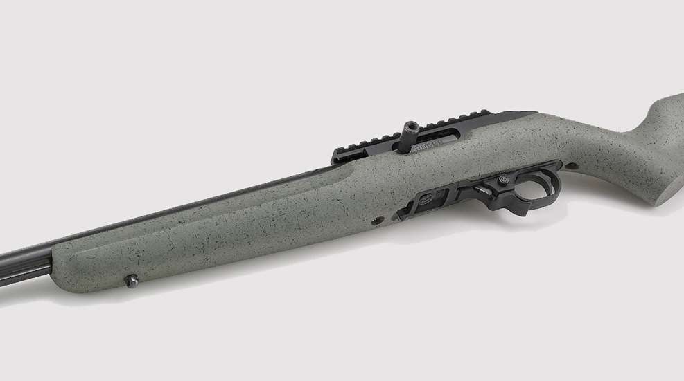 Ruger 10/22 rifle