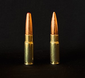338 Arc Ammo