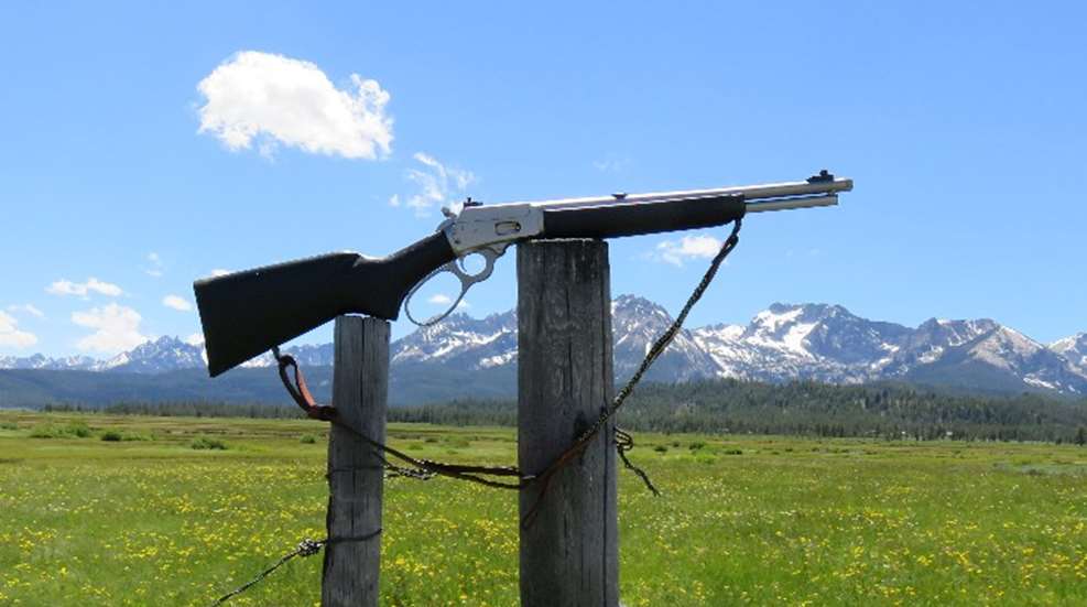 marlin-1894-header.jpg
