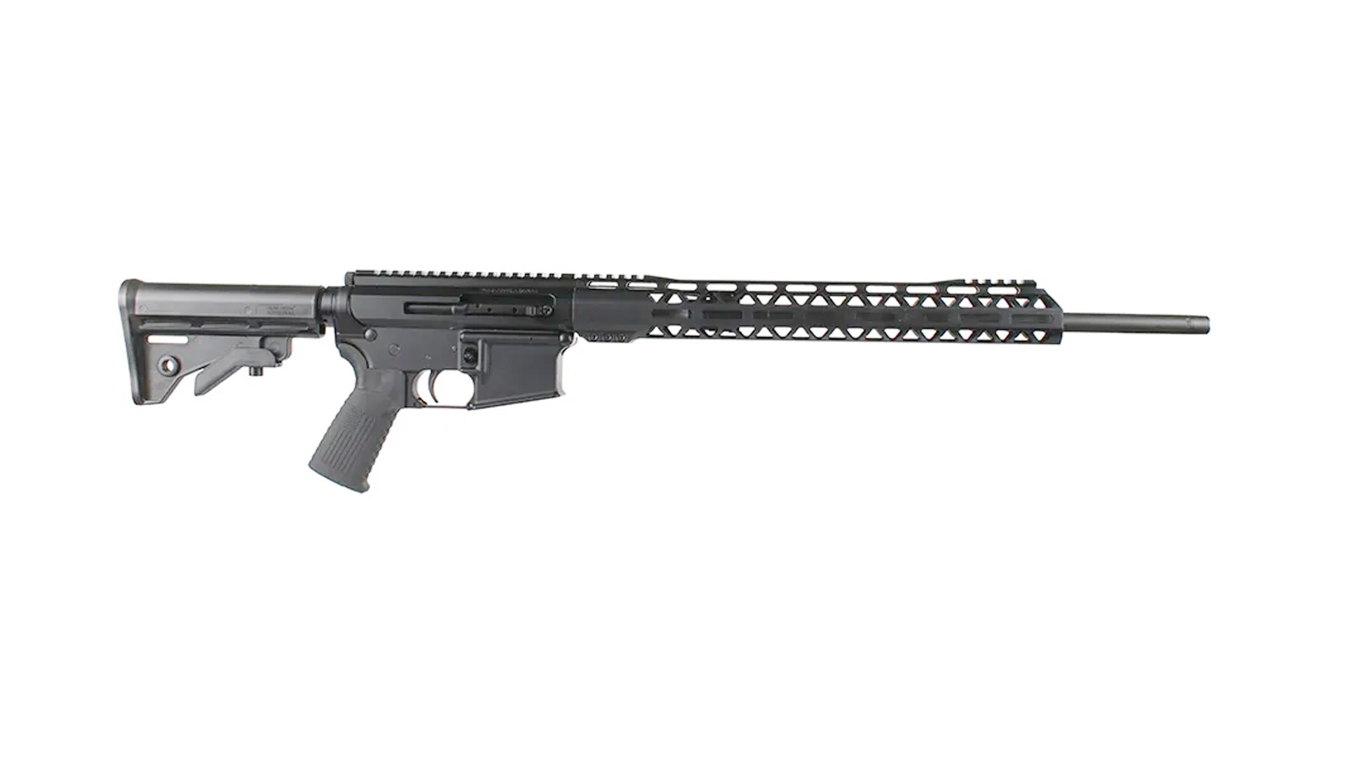 First Look: Bear Creek Arsenal .410 Shotgun AR