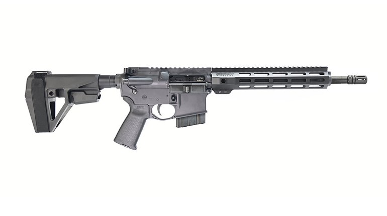 First Look: Bushmaster V-Radicator 22 ARC Pistol | An Official Journal Of The NRA
