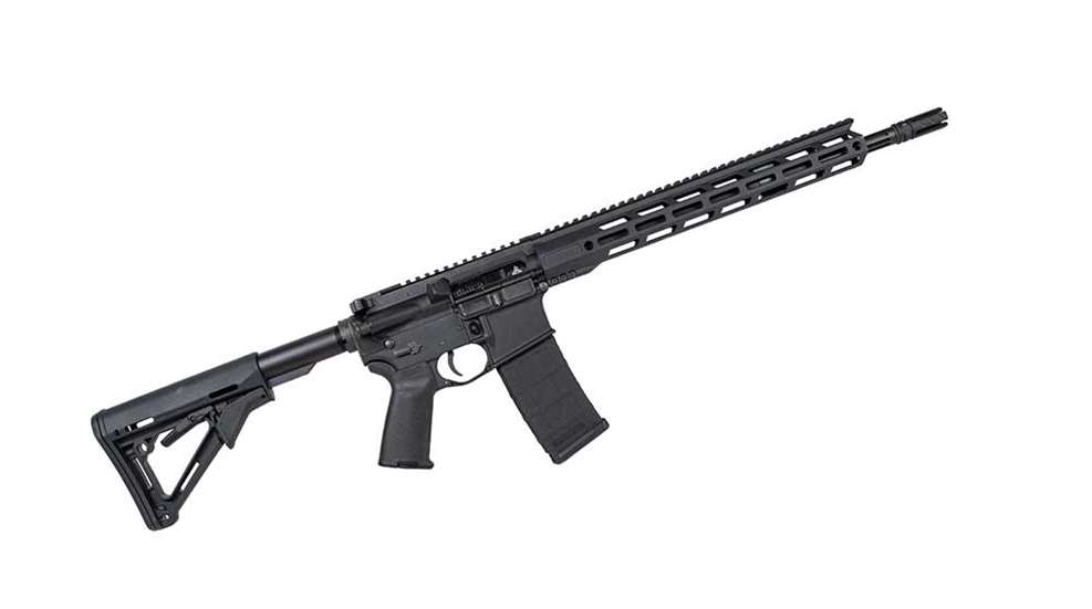 rise-armament-300le-rifle-f.jpg