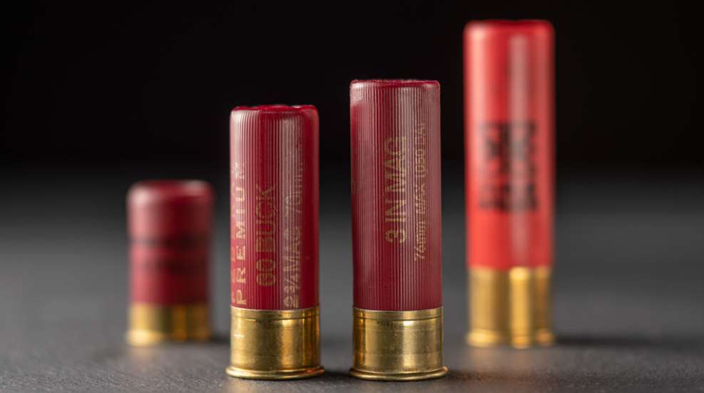 shotgun shells
