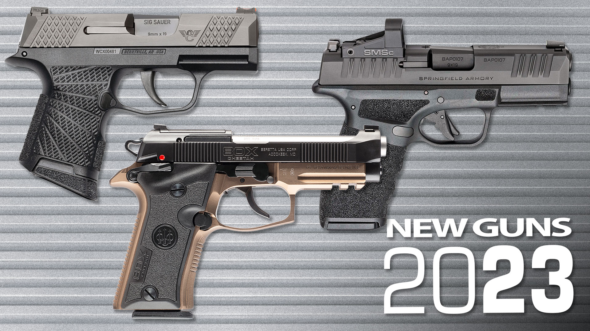 NRA Women  NRA Women's Top 10 All-New Concealed-Carry Pistols for 2022
