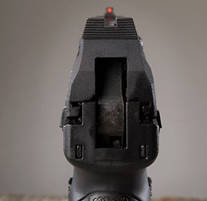 WMP sights